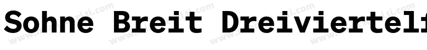 Sohne Breit Dreiviertelfett字体转换